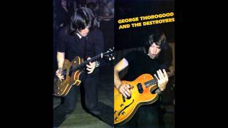 George Thorogood and the Destroyers  Kind Hearted Woman [upl. by Ahserak]