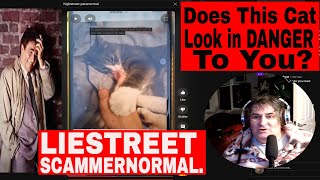 Does This Cat Look In Danger To You LIESTREET SCAMMERNORMAL [upl. by Meli]