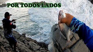 YA NO SABEMOS QUE BUSCAR  PESCA EN TODOS LADOS  PESCADORSOLITARIOAQP YONASFishing [upl. by Yrannav]