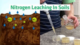 Fertilize Responsibly Nitrate Leaching and Cation Exchange in a Sandy Soil [upl. by Ddart]