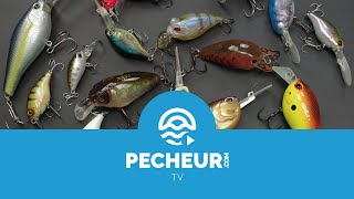 Quels leurres pour débuter la pêche des carnassiers  Tutoriel Pecheurcom [upl. by Raphael]