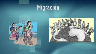 2 Información sociodemográfica de la población [upl. by Whelan97]