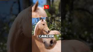 LE 5 RAZZE DI CAVALLI 🏇 PIU COSTOSE AL MONDO 💰🌍🏇 shortvideo animali cavalli costose mondo [upl. by Goto]