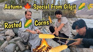 Rosted Grilled Corns 🌽  Grilled Corns Rceipe In My village  🍁 Special From Gilgit Baltistan❤️ [upl. by Enihpad632]