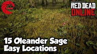 Oleander Sage Locations RDR2 Online  Red Dead Online Oleander Sage Location Guide [upl. by Aidnyl84]