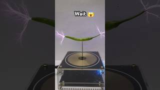 😱 Music Tesla coil reel 🔥teslacoil matchstick experiment teslacoilelectroboom [upl. by Calia]