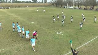 Rugby Brown Vs RegatasBelgrano SN Partido 8 de Junio [upl. by Angell184]