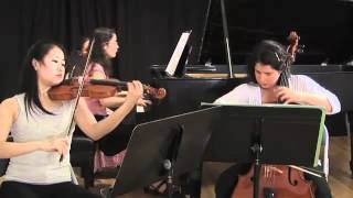 Piano Trio in A Minor  Passacaille Tres Large 3rd Movement  Maurice Ravel [upl. by Severn]