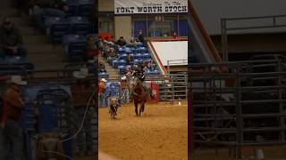 Dual Magic Potion amp Joseph Harisson 7x World champion AQHA quarterhorse teamroping [upl. by Buxton779]