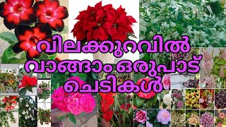 😍💐🌹ചെടികൾ ഒരുപാട് വാങ്ങാം ഓൺലൈനിൽ വിലക്കുറവിൽ reels garden [upl. by Norm]