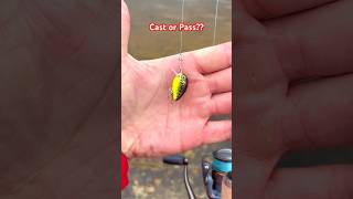 MICRO Crankbaits catch EVERYTHING [upl. by Clay882]