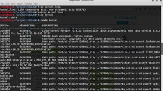 Introduction to Firmware Reversing [upl. by Naejeillib]