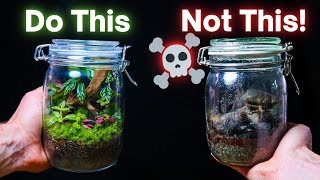 10 ESSENTIAL Terrarium Tips For Beginners [upl. by Nwadrebma191]