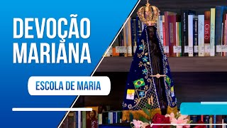 Entenda a devoção mariana antes e depois do Concílio do Vaticano II [upl. by Gitel300]