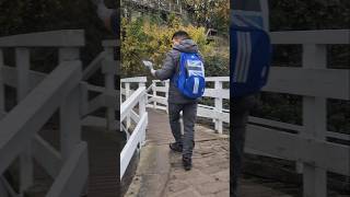 Footbridge Scenes shortvideo travel uk nature [upl. by Ecinnahs]