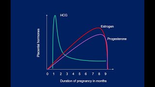 Placental hormones amp the Fetoplacental unit [upl. by Enitsej]