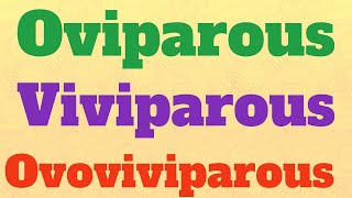 OviparousViviparousOvoviviparousBiology [upl. by Andriette]