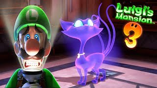 Floors 8 amp 7  POLTERKITTY Ghost Cat First Encounter  LUIGI´S MANSION 3 Guide [upl. by Adihsaar217]