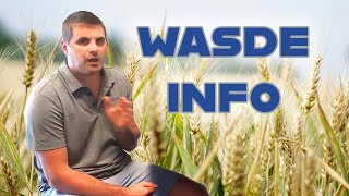 What To Know Before The WASDE October 2024 Zaner MarketCast [upl. by Ainud529]