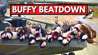 Bufflehead Beatdown on the Georgia Coast Tybee Island [upl. by Ezechiel]