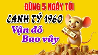 Đúng 5 ngày tới Thầy tử vi báo tin Canh Tý 1960 bùng nổ vận đỏ giàu sang bủa vây không lối thoát [upl. by Turnheim]