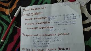 renal function test easy explanation  renal pathology [upl. by Frankel709]