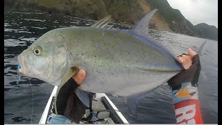 Bluefin trevally on the kayak [upl. by Sucitivel]