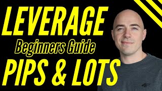 Forex Leverage for Beginners Explained lot sizes and pips [upl. by Stochmal]