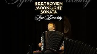 Beethoven – Moonlight Sonata 56 zavadsky accordion pianosonata beethoven moonlightsonata [upl. by Orland]