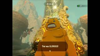 Gorae Torrs Blessing  The Legend of Zelda Breath of the Wild  Episode 257  First Playthrough [upl. by Atonsah]