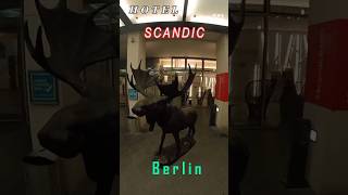 SCANDIC BERLIN POTSDAMER PLATZ  hotelberlintravel путешествияотель [upl. by Alliuqat]