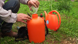 🚫Salva tus tomates  Como eliminar el Mildiu Mi secreto🍅► Cultivo de tomates  tuhuertofacil [upl. by Roman851]