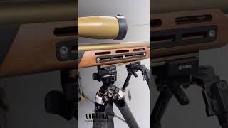 Woox Furiosa Chassis 22lr three 60 [upl. by Alimak]