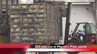 Pilgrims Pride cutting 200 jobs at Chattanooga chicken plants [upl. by Breanne]