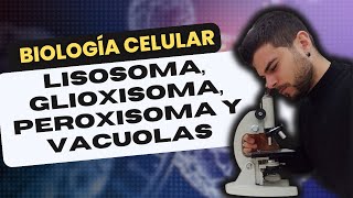 BIOLOGÍA CELULAR LISOSOMA PEROXISOMA GLIOXISOMA y VACUOLA [upl. by Dyann]