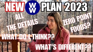 NEW WW Weight Watchers Plan for 2023 WW PointsWW Plan ALL the DETAILS and My HONEST Opinion😮🤯 [upl. by Shaylynn]