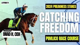 Catching Freedom 2024 Preakness Stakes Preview [upl. by Silado]