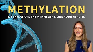 Methylation the MTHFR gene and your health [upl. by Tomaso657]