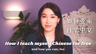 How to Learn Fluent Chinese Exact Plan for PartTime Study [upl. by Threlkeld]