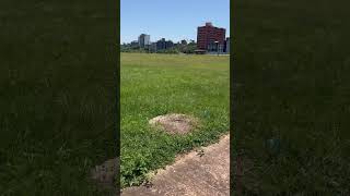 Fui Atacada no Paraguay shortsvideo humor paraguay paraguai [upl. by Ysak]