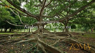 Meditatie Gronden en goed aarden in het hier en nu  ZoMa Opleidingen [upl. by Alegnat454]