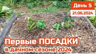 Сажаем 1е Растения в сезоне 2024 вся Рассада от соседей Успешный подзимний посев на Пряной грядке [upl. by Shannah781]