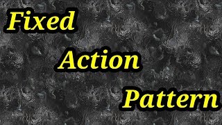 Fixed action pattern behavior [upl. by Ortrud]