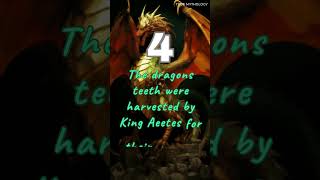 5 Interesting Facts about The Colchian Dragon greekmythology [upl. by Ahsilam439]