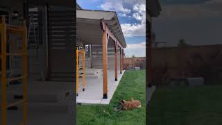 Custom Cedar Pergola Patio Cover complete in Denver✅ patiocover pergola backyard patiostyle [upl. by Ethyl]