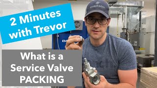 Service Valve Packing [upl. by Lela722]