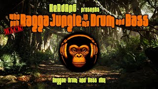 Who Put Back Ragga Jungle in my Drum and Bass  Reggae Drum amp Bass Mix [upl. by Aracahs]