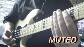 Slap Bass tutorial 4  Octaves [upl. by Aiker]