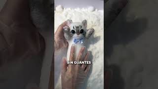 ¡Así se hacen los Peluches 😱😍shorts curiosidades gatos [upl. by Claudine]