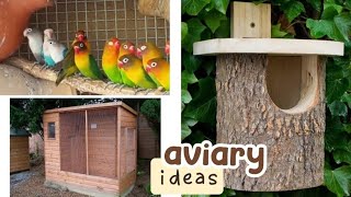 20 Bird Aviary Ideas From Pinterest [upl. by Solberg]